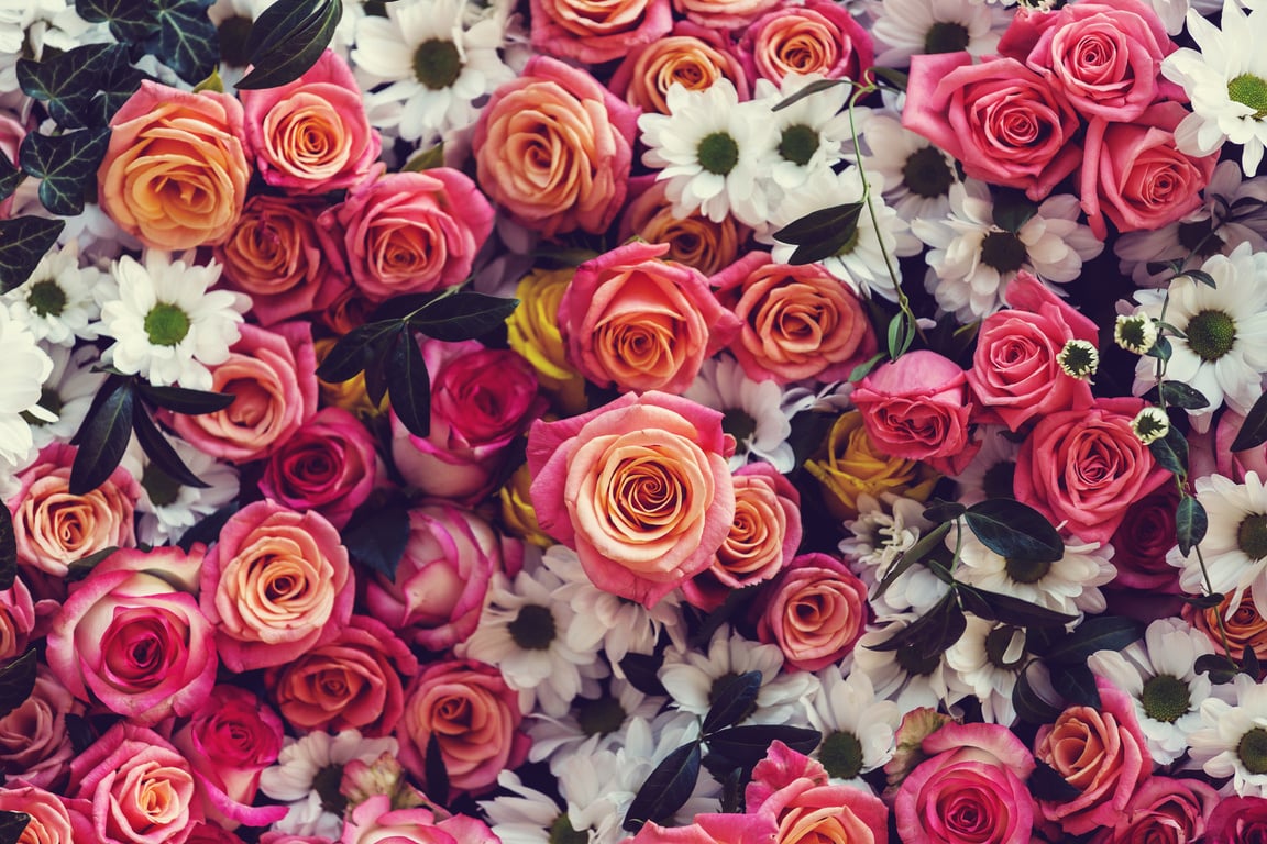 Pretty Flowers Background 